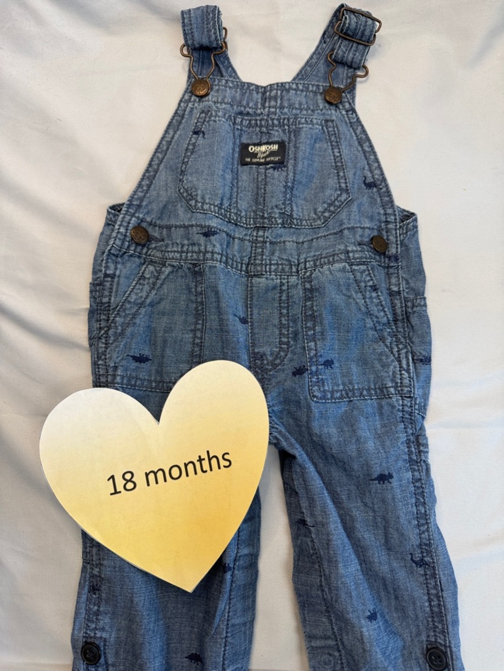 OshKosh B'gosh Blue Overalls with Dinosaur Pattern